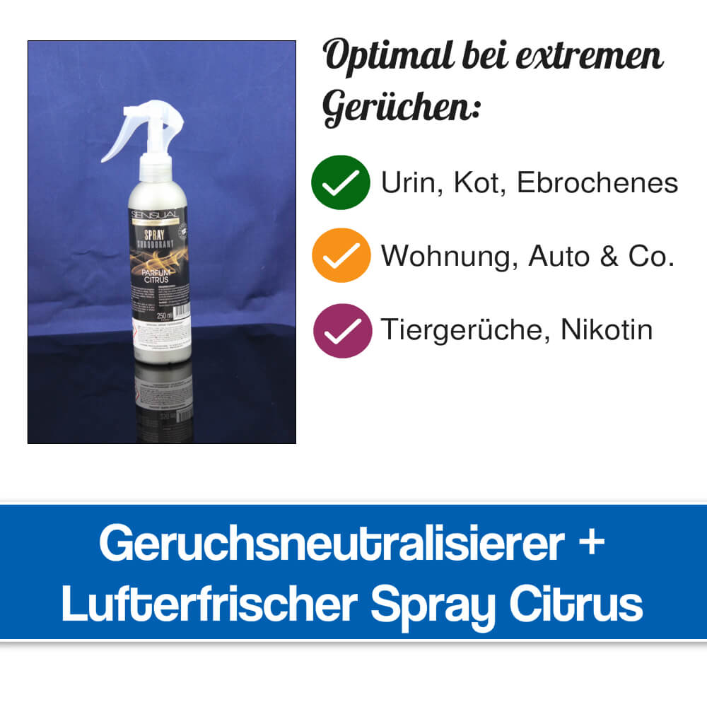 Geruchsneutralisierendes Spray - Natürlicher Lufterfrischer mit